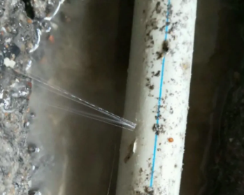 上蔡卫生间测漏水多少钱